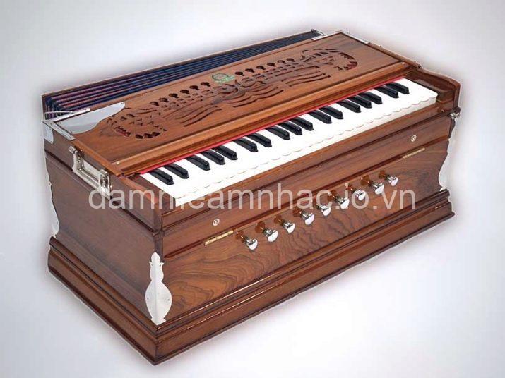 Buổi Biểu Diễn Đàn Kèn Harmonium: Khám Phá Âm Nhạc Hấp Dẫn