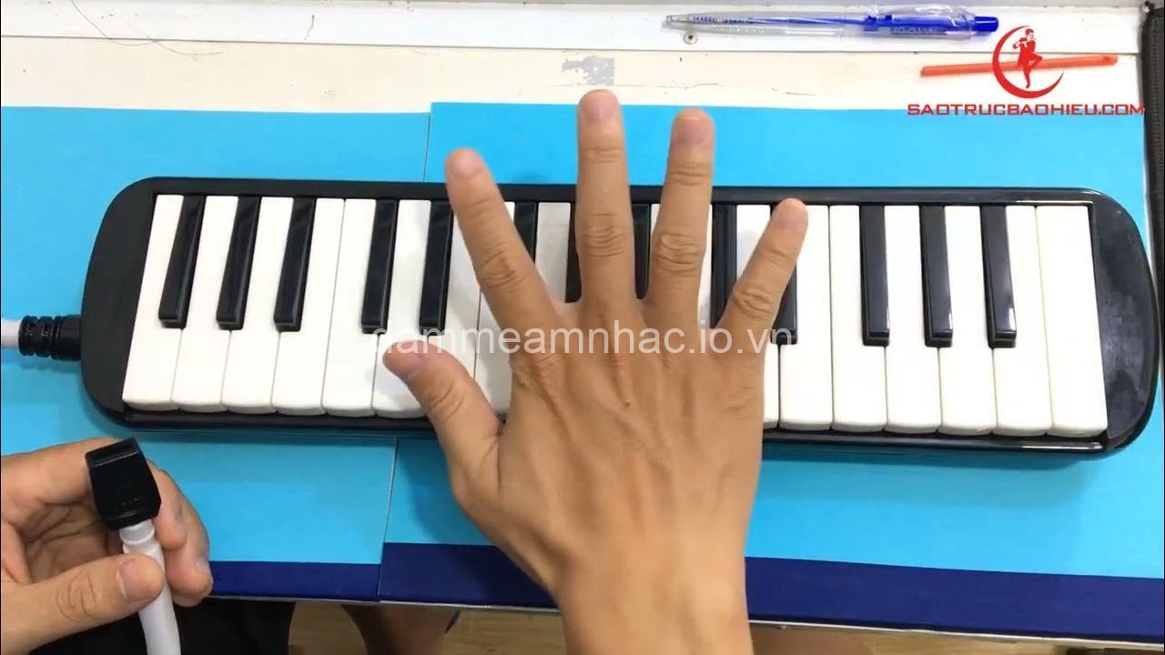 Hội Thảo Hướng Dẫn Đàn Melodica: Học Chơi Cho Người Mới Bắt Đầu